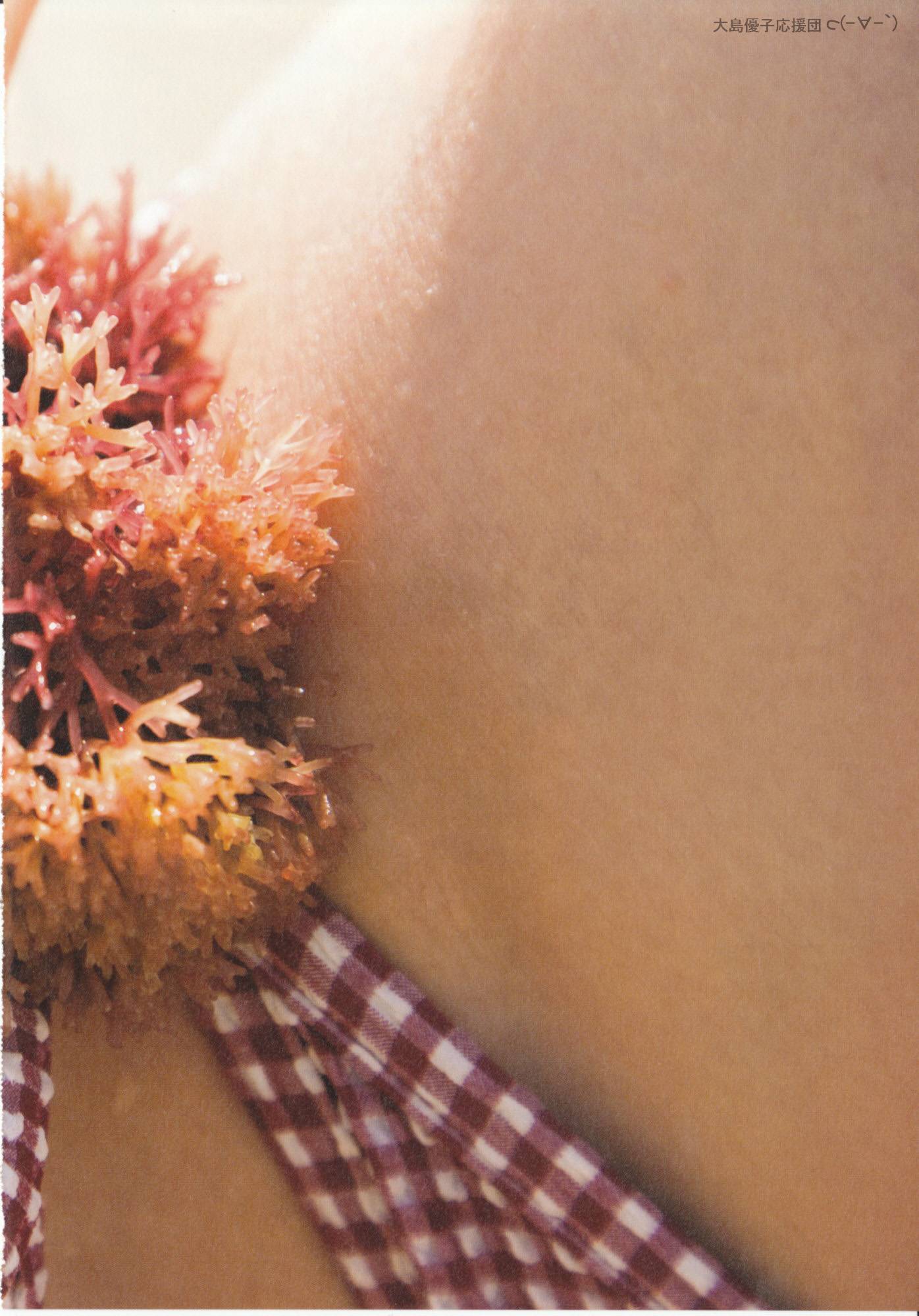 大島優子 1stフォトブック 優子 [PB写真集] Yuko Oshima